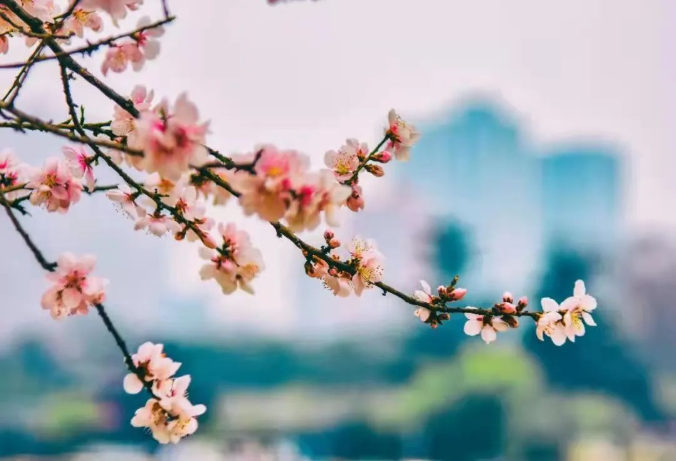 微信截图_20220315075841.png