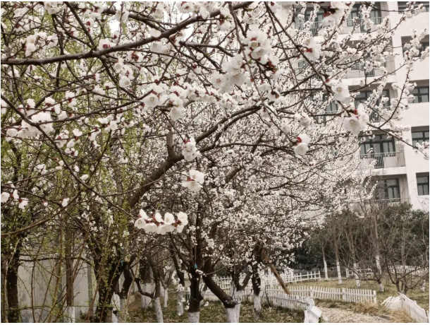 微信截图_20220315083428.png