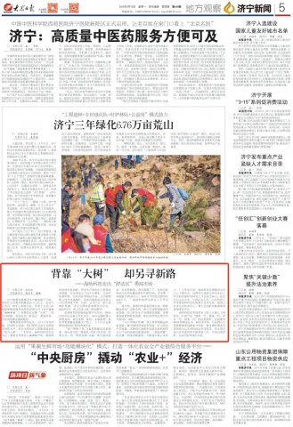 大众日报丨背靠“大树”，却另寻新路